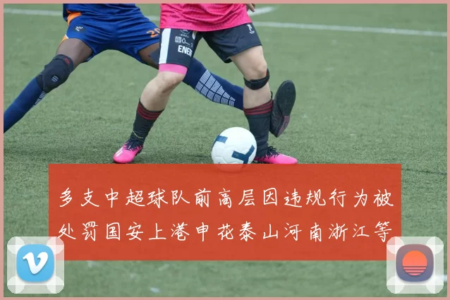 多支中超球队前高层因违规行为被处罚国安上港申花泰山河南浙江等队受影响